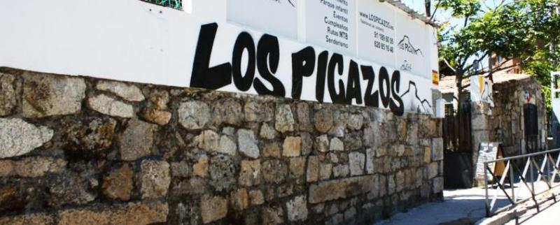 Los Picazos