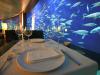 Restaurante Submarino L'oceanogràfic