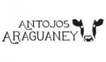 Restaurante Antojos Araguaney Grill