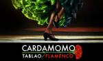 Restaurante Cardamomo Tablao Flamenco