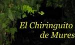 Restaurante El Chiringuito de Mures